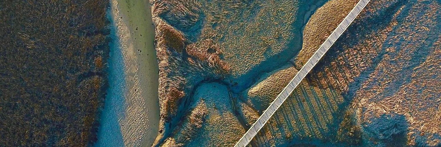 Millibeth Currie banner