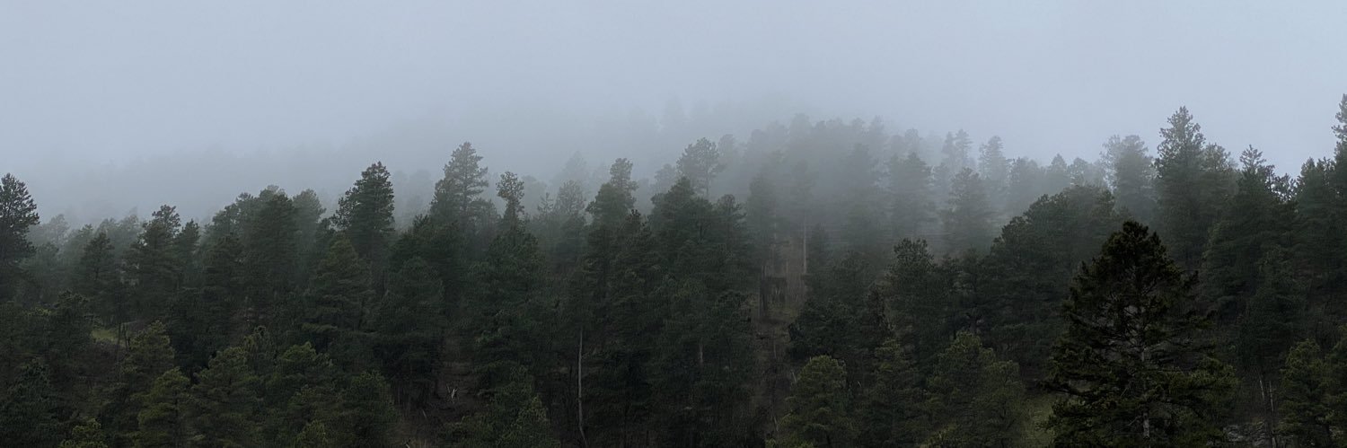 Ally_Osterloo's profile banner image