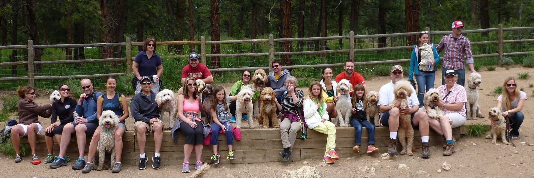 Denver Doodles banner