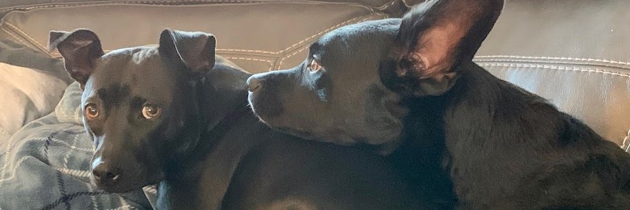 RobertSandlin's profile banner image