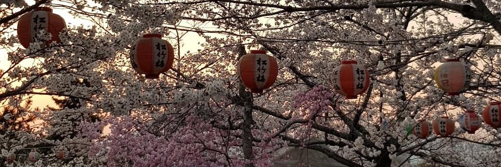 lpsqt's profile banner image