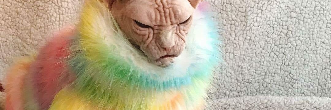 SpookAndShook's profile banner image