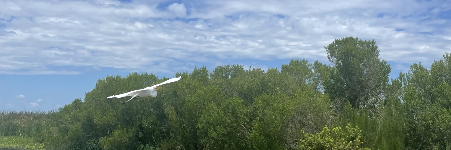 Dr. Kate Devine banner