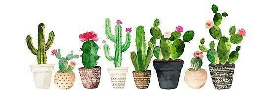 lanokahlo's profile banner image