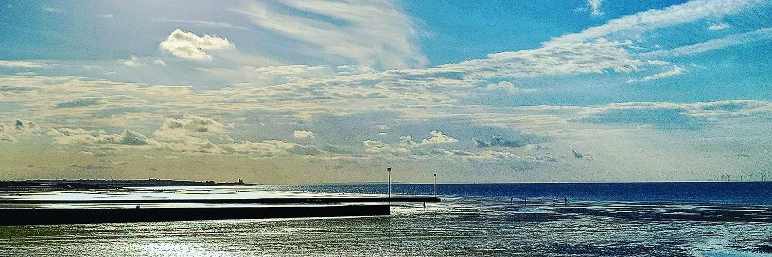 I_an Throw_er banner