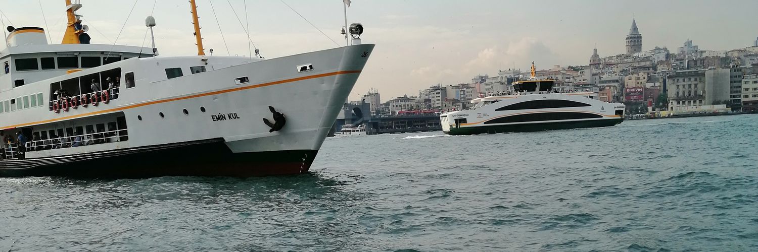 metinerolan's profile banner image