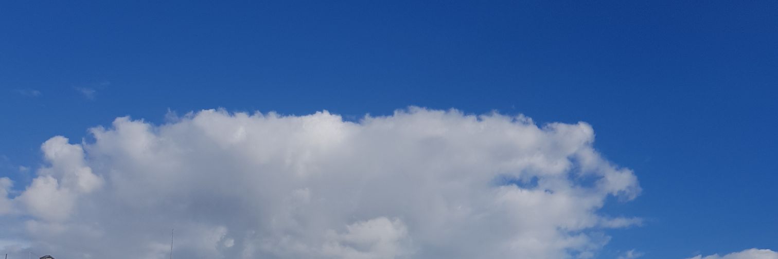 nobblessru1's profile banner image