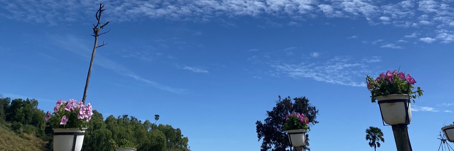 ingingnr's profile banner image