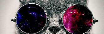 karinacahyaa's profile banner image