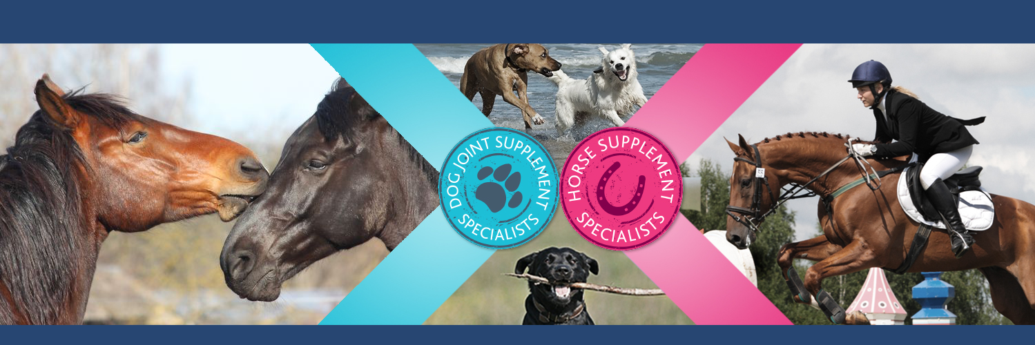 snpproducts's profile banner image