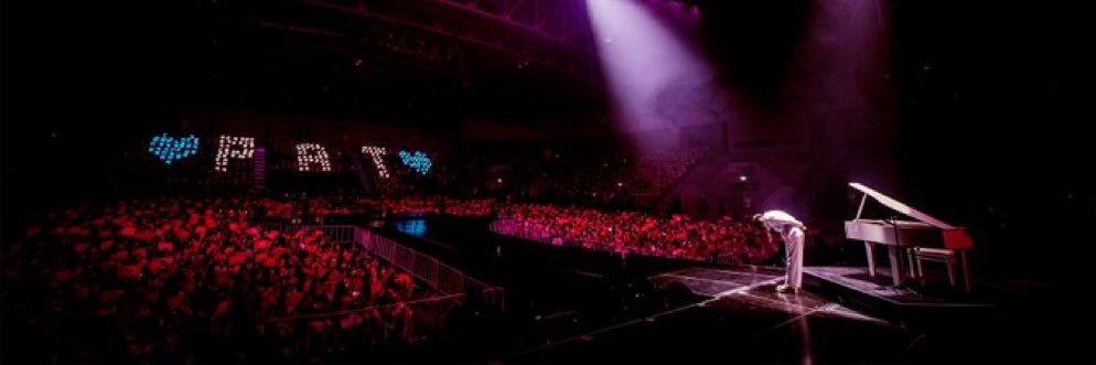 :☆ 핑키 ☆: banner