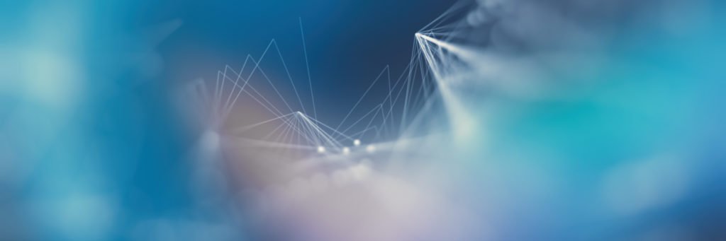 lunchtimepol's profile banner image