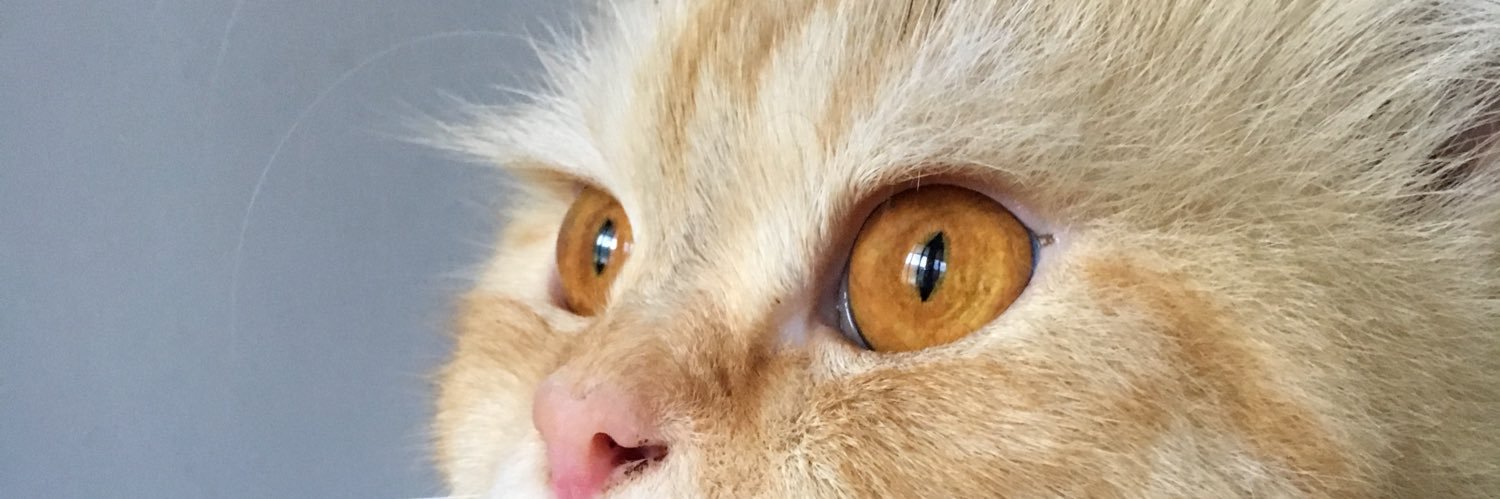 Restiwidayantii's profile banner image