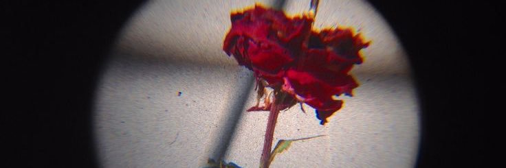 belaa_botas's profile banner image