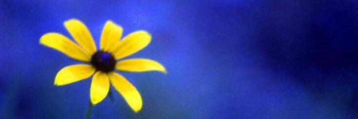 إنسان ابو ابراهيم 🌱 banner