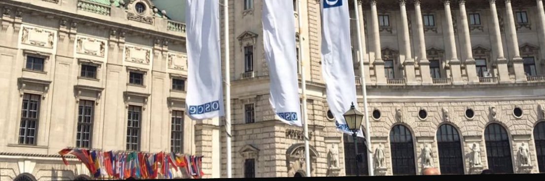 Alexander Maisuradze banner