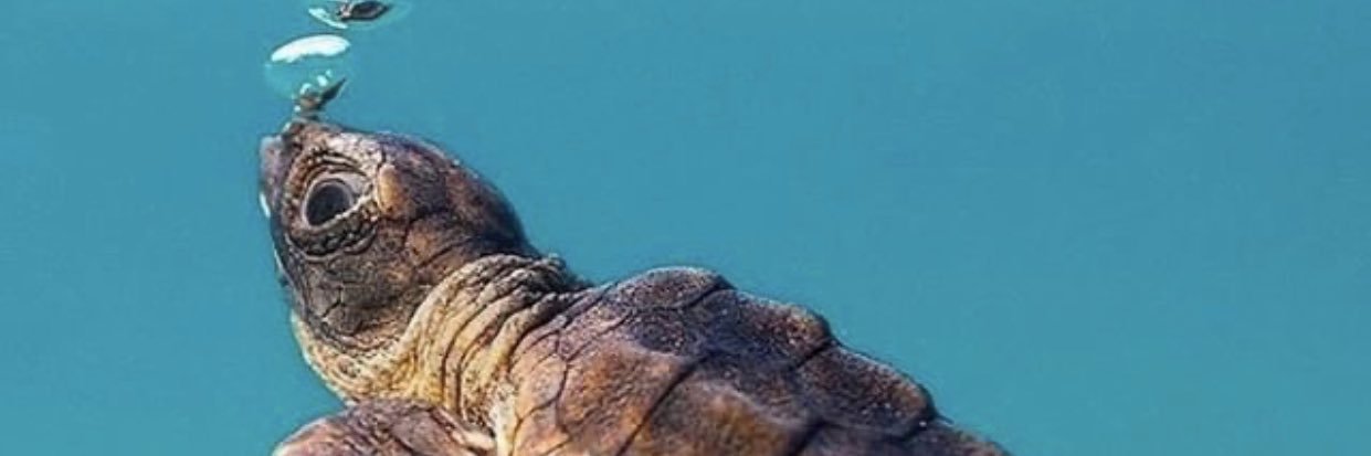 BTHIBZ96's profile banner image