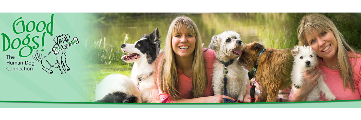 GoodDogsSharon's profile banner image