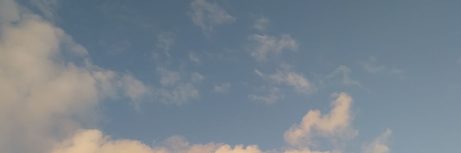 Havila_Kim's profile banner image