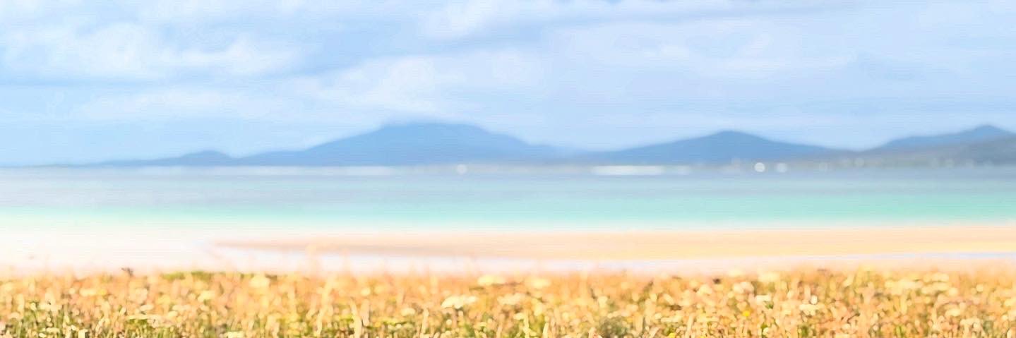 Ainsley McIntosh banner