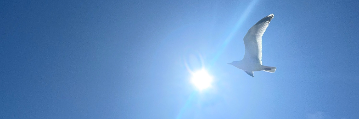 Monika Štedul banner