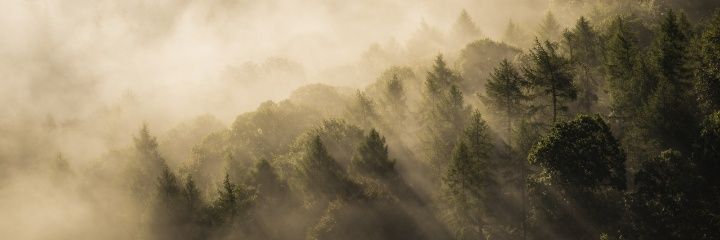 BioArnau's profile banner image