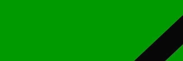 Roman's banner