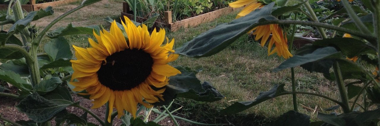 RebeccaWiT's profile banner image