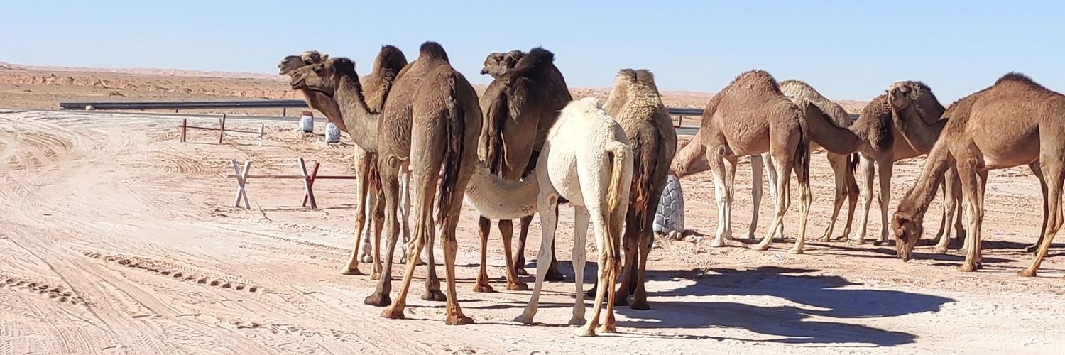 DJABIR BOUHAFS🐐 banner