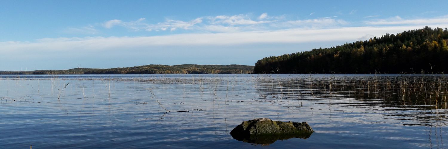 Martta Fredrikson banner