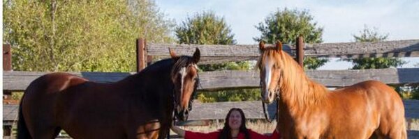 ozwelshcobs Profile Banner