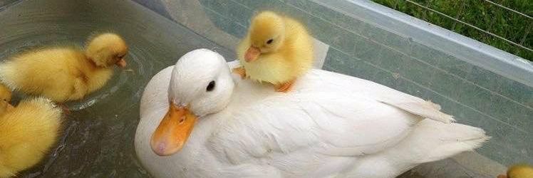 mathildo 🌞 banner