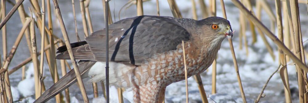 10000birds's profile banner image