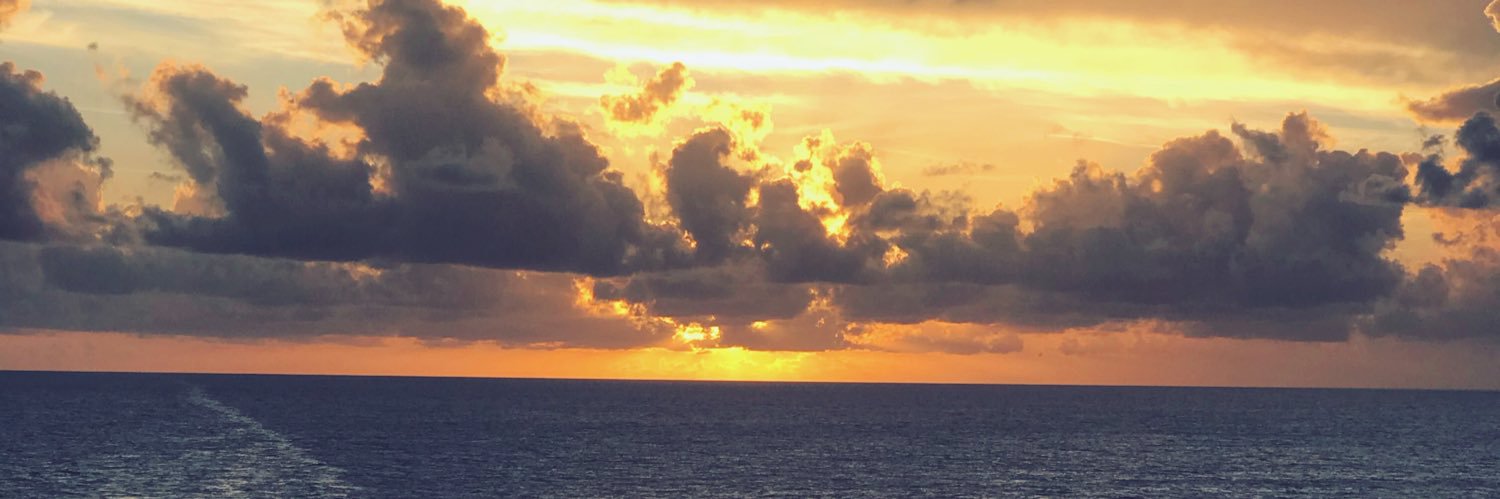angmconforti's profile banner image