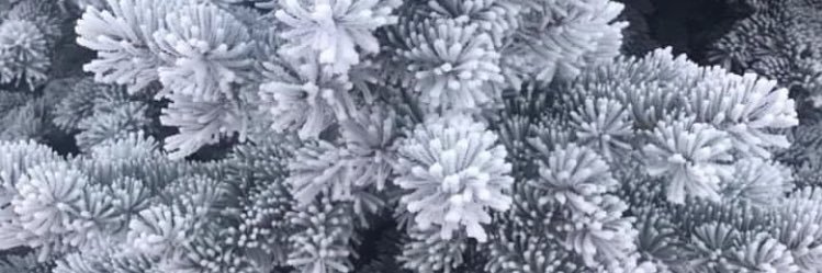 HeatherInWPG's profile banner image