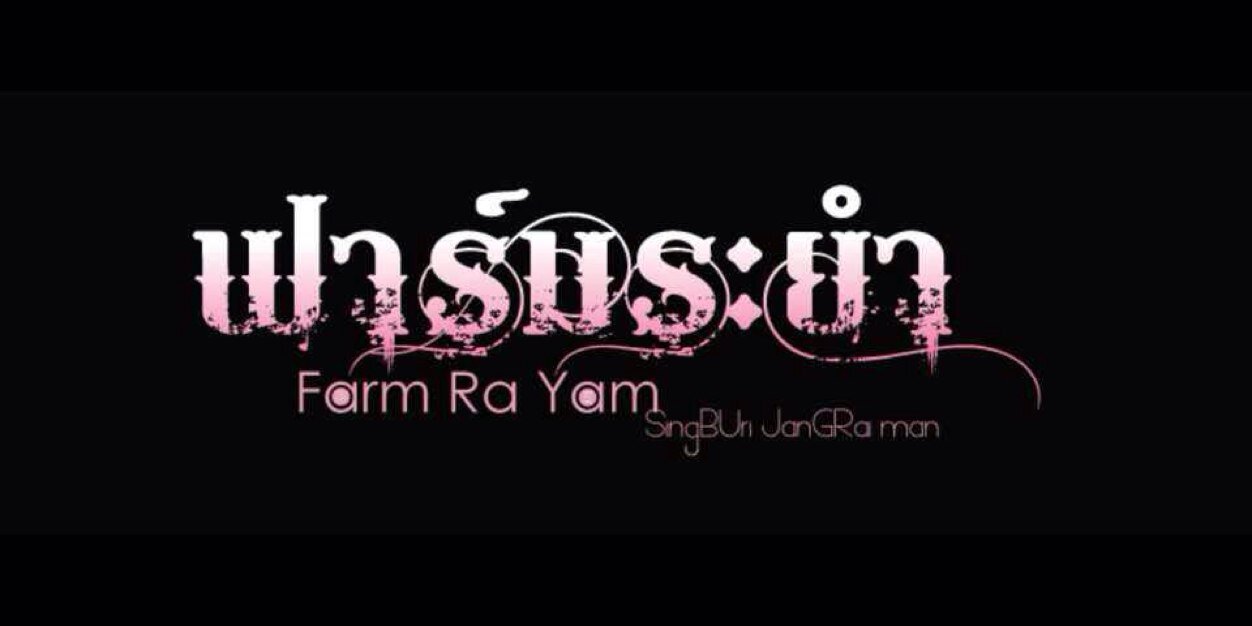 fay_arpaporn's profile banner image