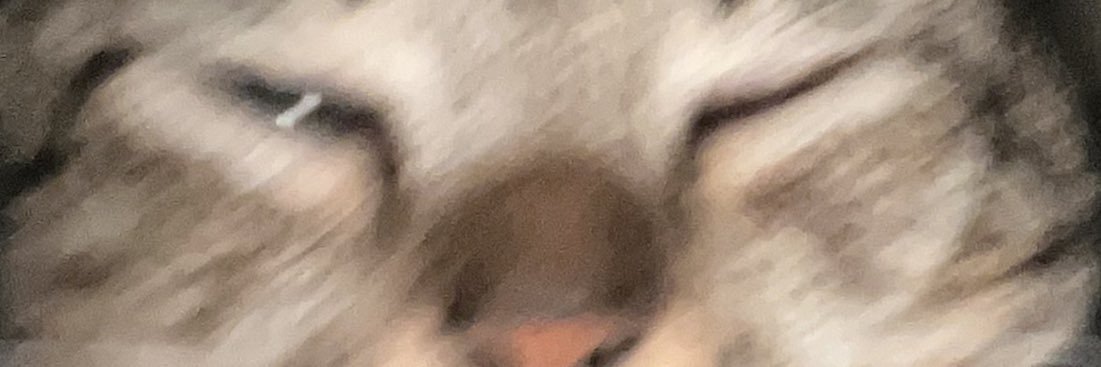 volteyre's profile banner image