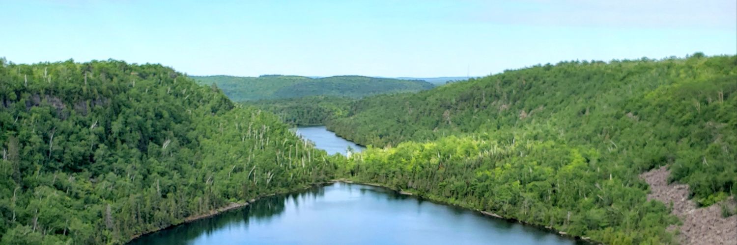 Katie Rotvold banner