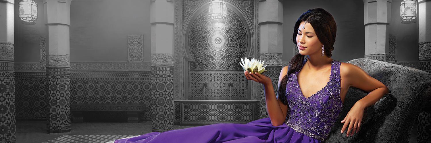 BloomChocalate's profile banner image