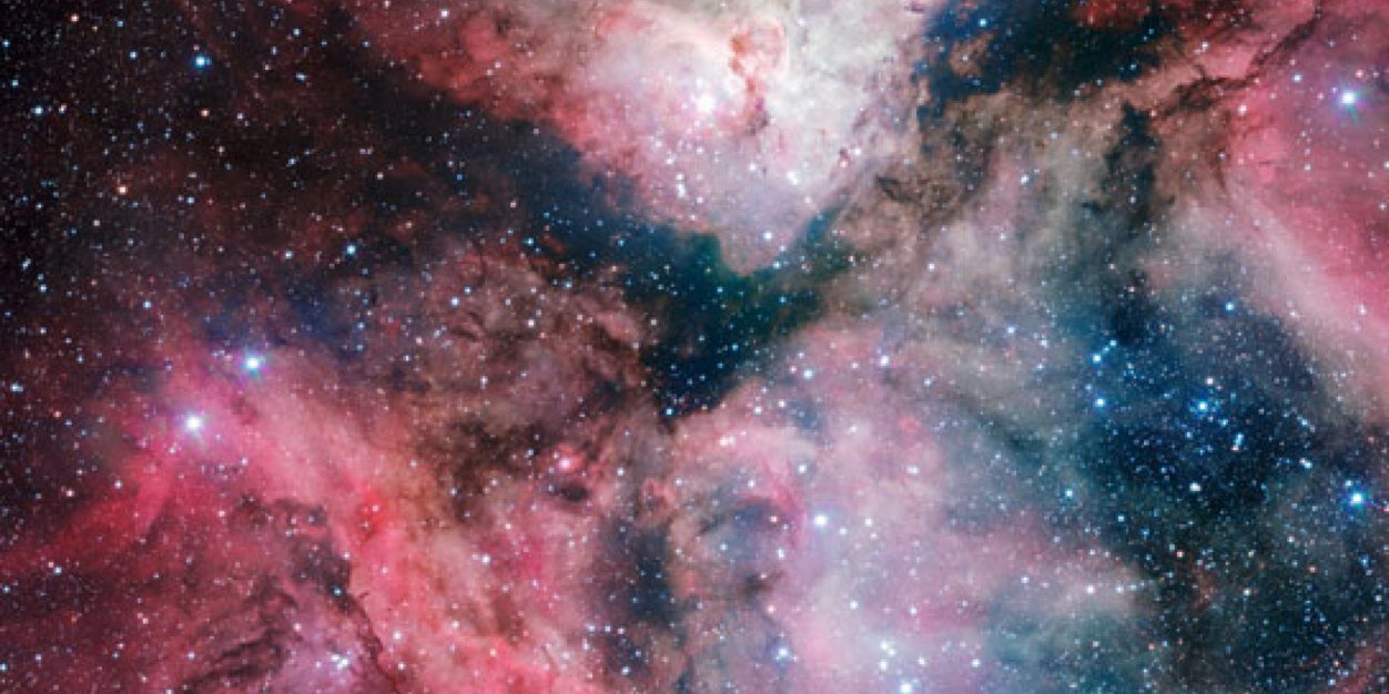 carinadht's profile banner image