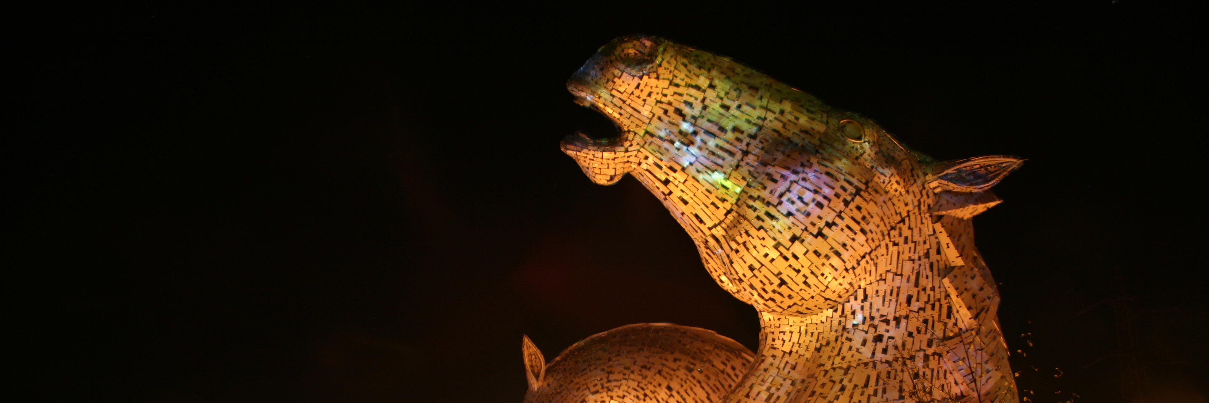 frankhavering's profile banner image