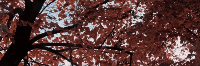 lubarde's profile banner image
