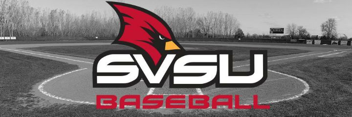 SVClubBaseball's profile banner image