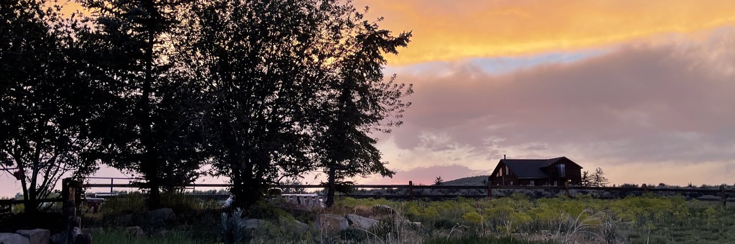 Katherine Bathgate banner