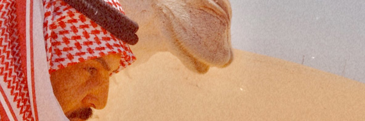 e5uii2's profile banner image