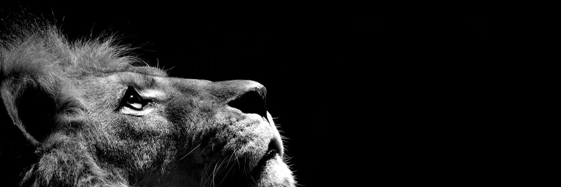 Antoine_Oneor's profile banner image
