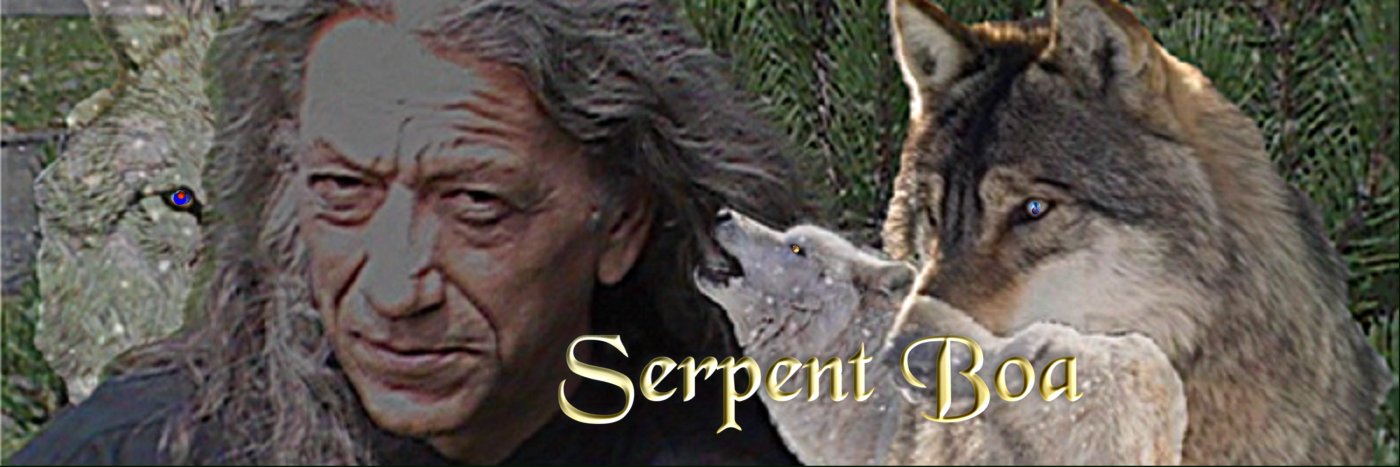 TheSerpentBOA's profile banner image