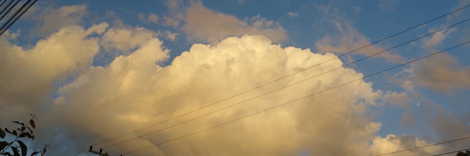 Pawawder's profile banner image