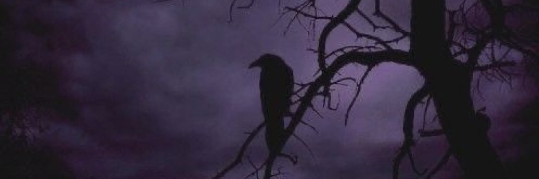 josevlex's profile banner image