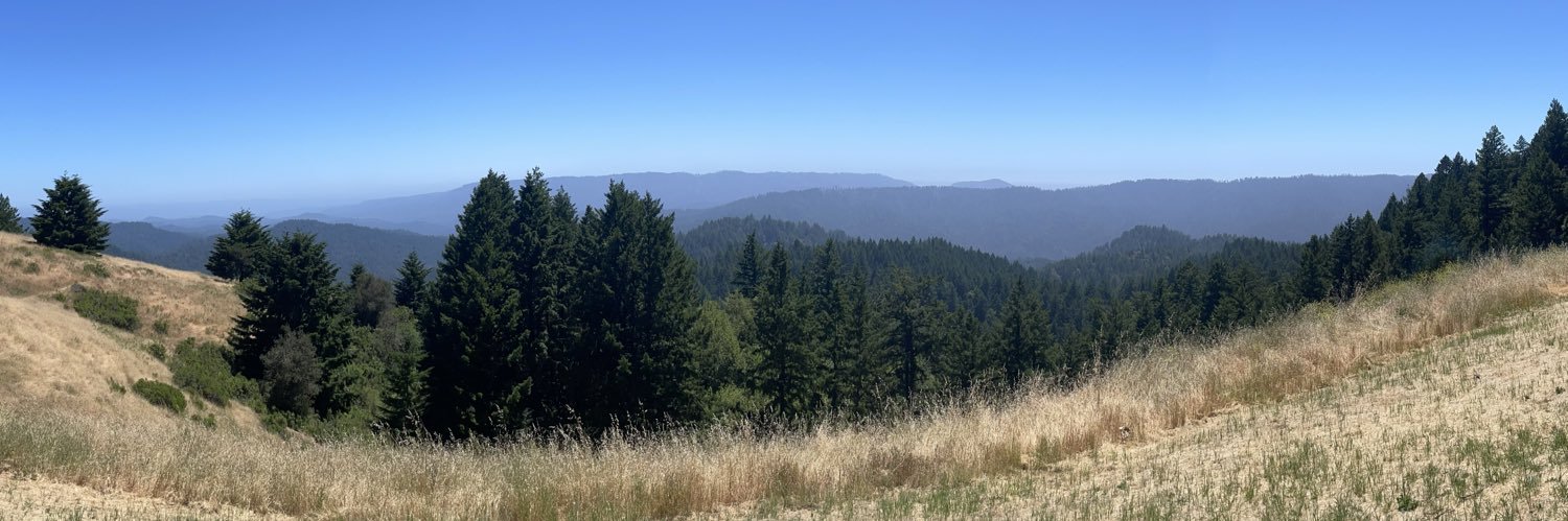 etealuear crushue anw sosar banner